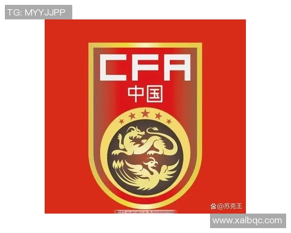 中国足球男子国家队奋勇拼搏迎接新挑战努力追逐世界杯梦想与荣耀