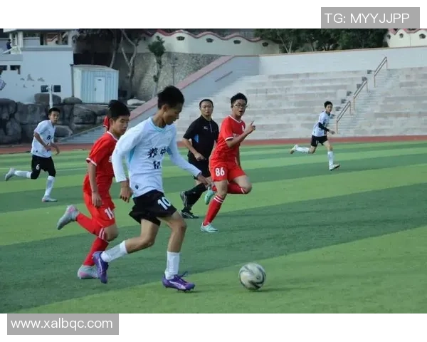 足球代代相传的精神与传承探索在新时代的影响与发展 足球代代相传的精神与传承探索在新时代的影响与发展
